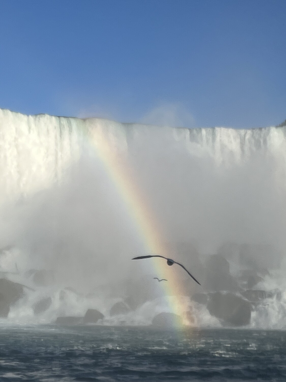 Niagara Rainbow