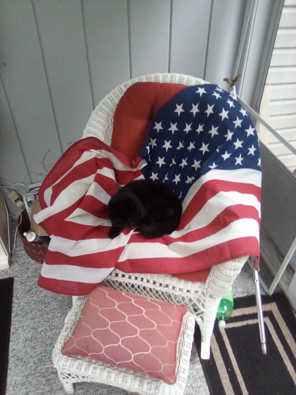 Patriotic Billy