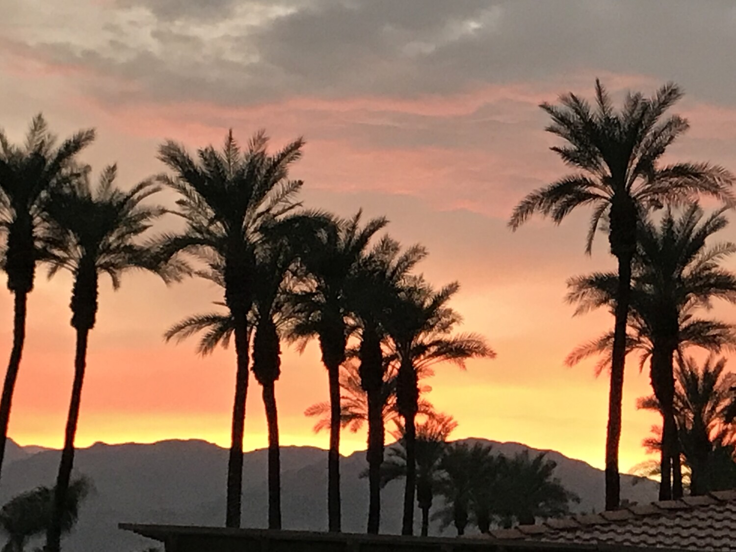 Sunset in the Desert