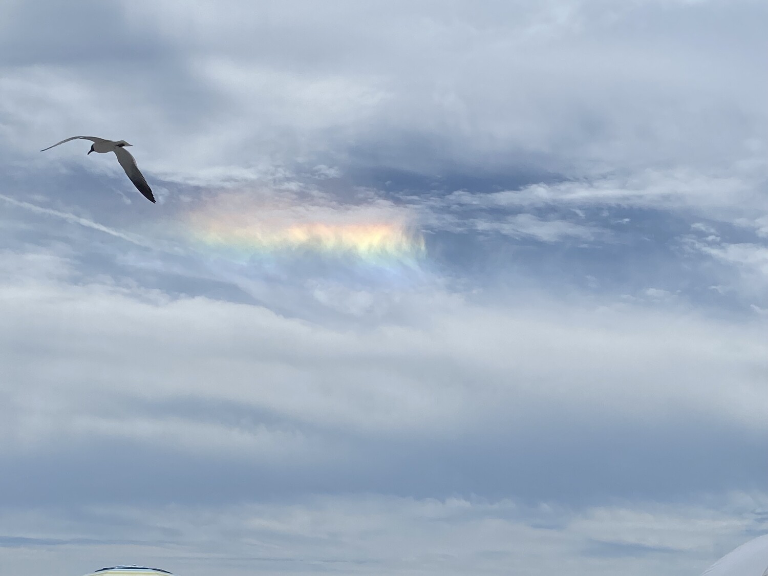 Fire rainbow cloud