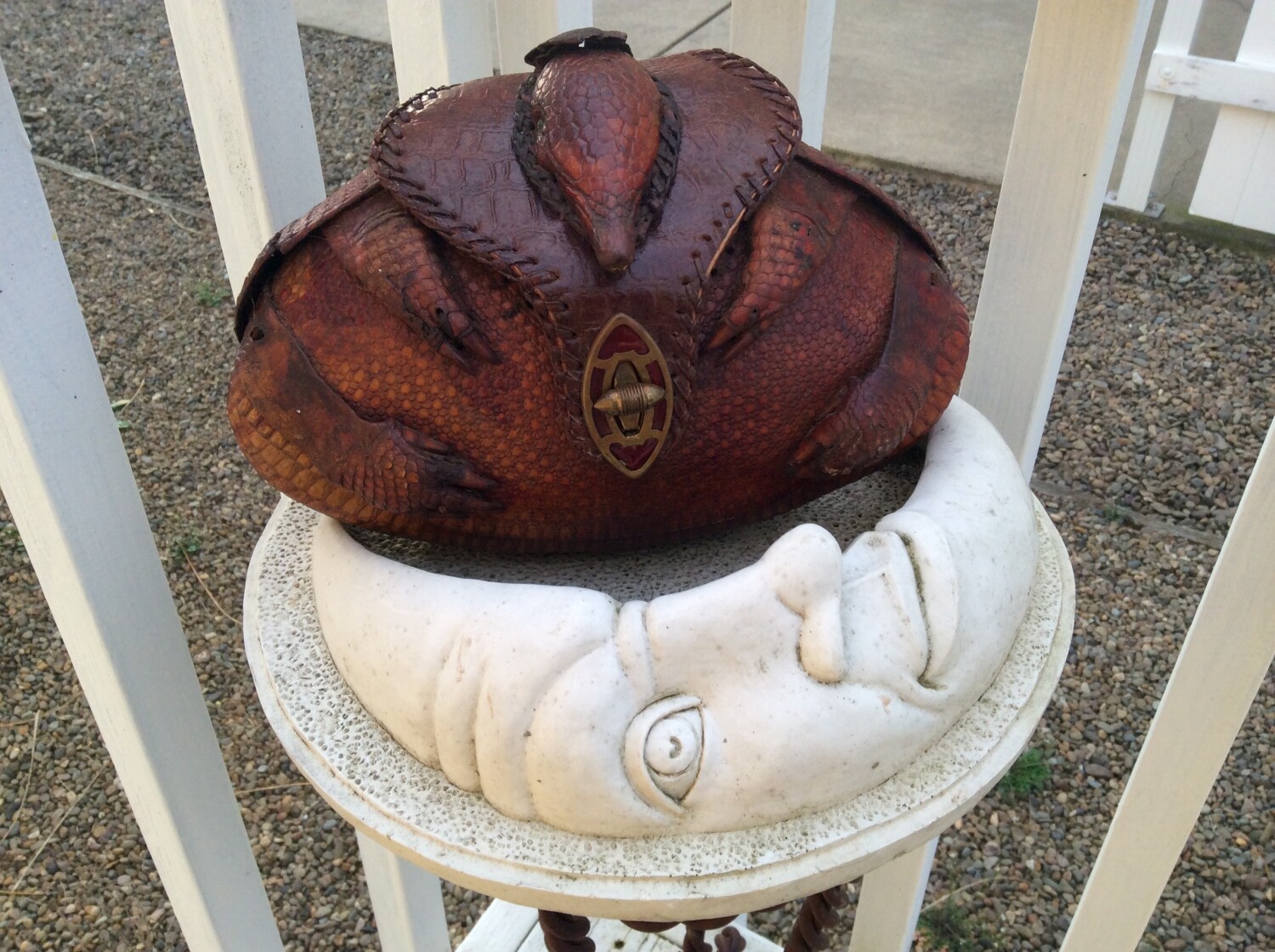 The Reticule Armadillo Chatting up Man on Moon