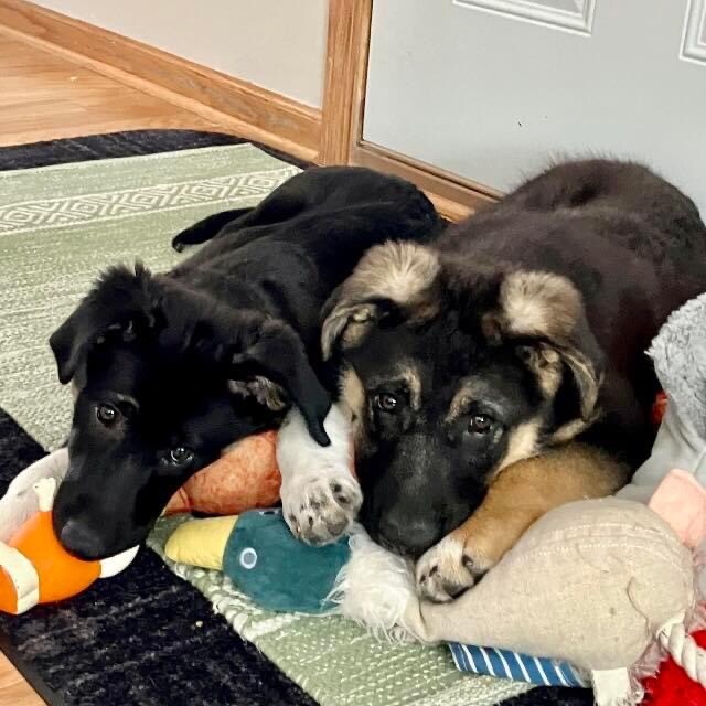 You and I Sibling’s Forever!!!