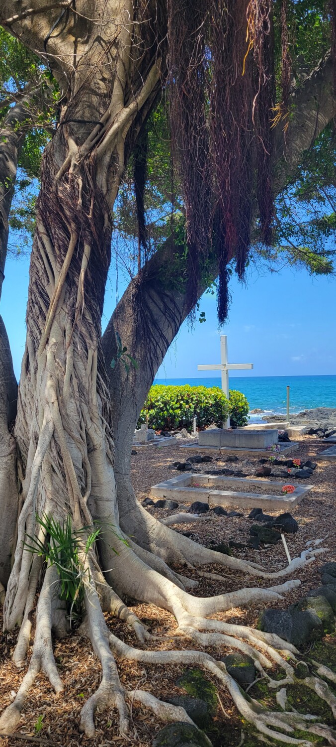 The Cross cad wE. z 2w um s