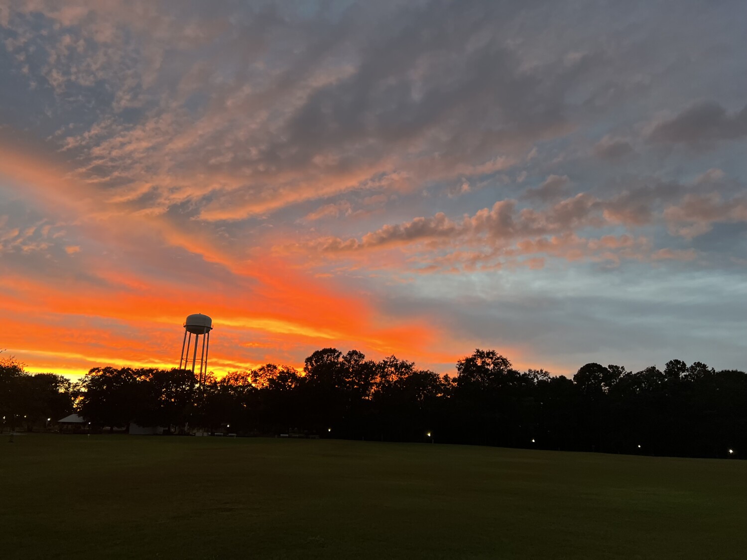 Morning in Taylor Alabama
