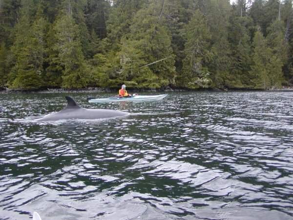 BC kayaking