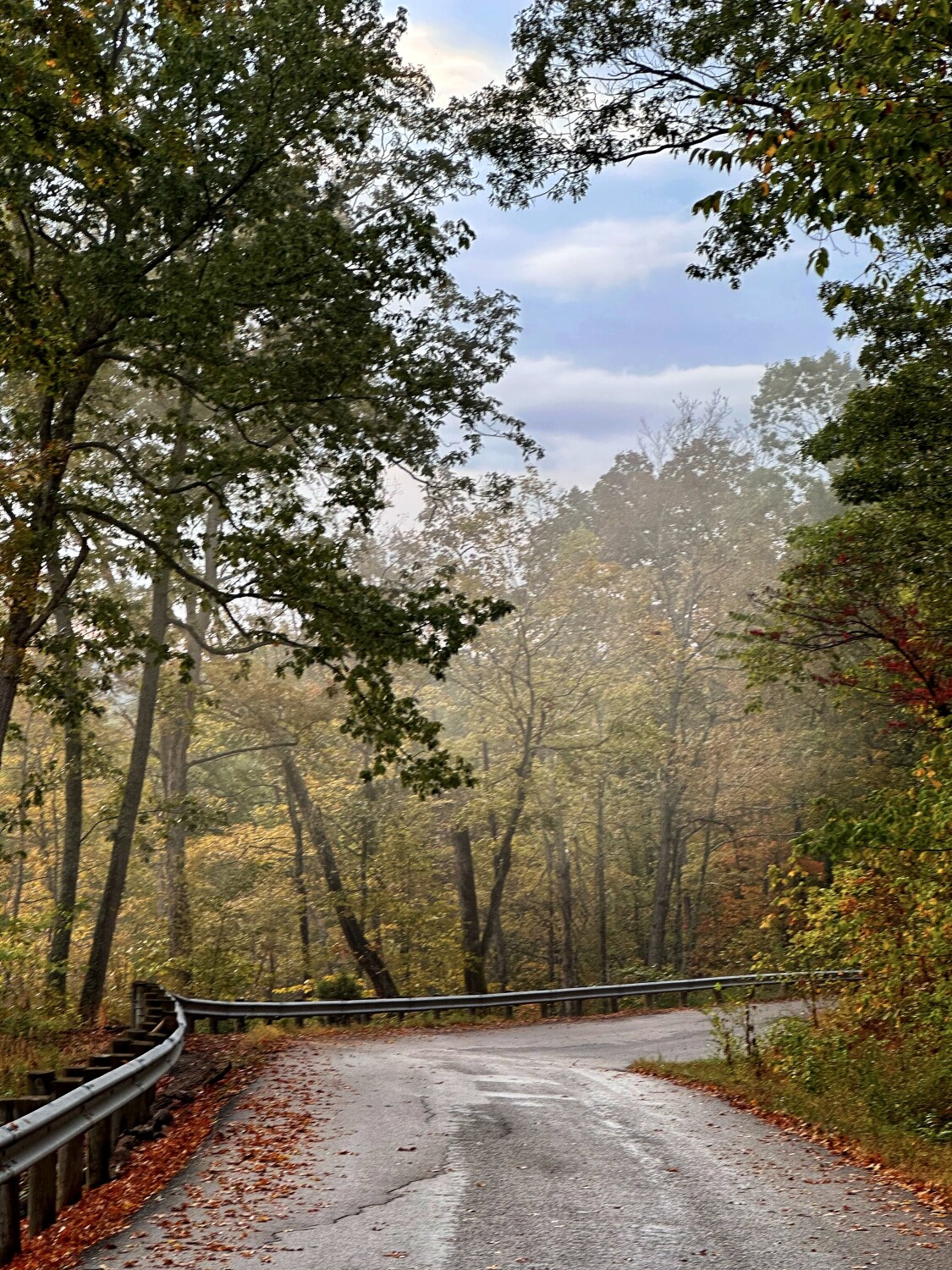 All roads lead home ❤️