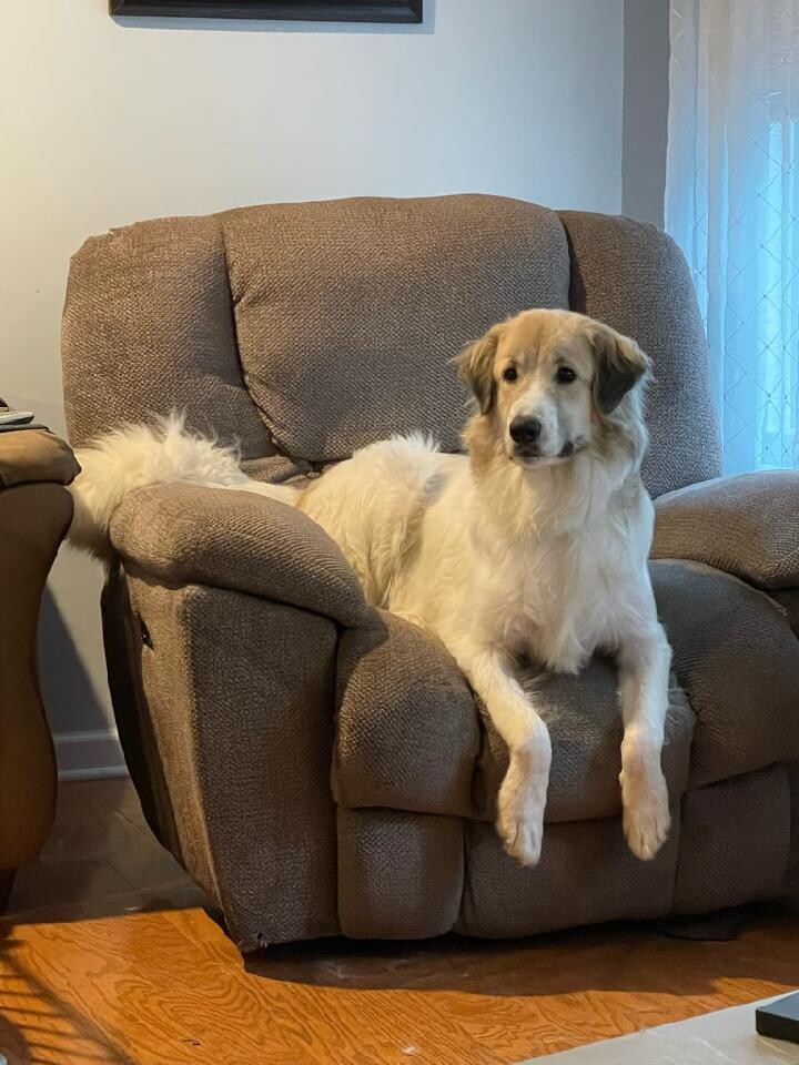 Madden on Daddys  Chair