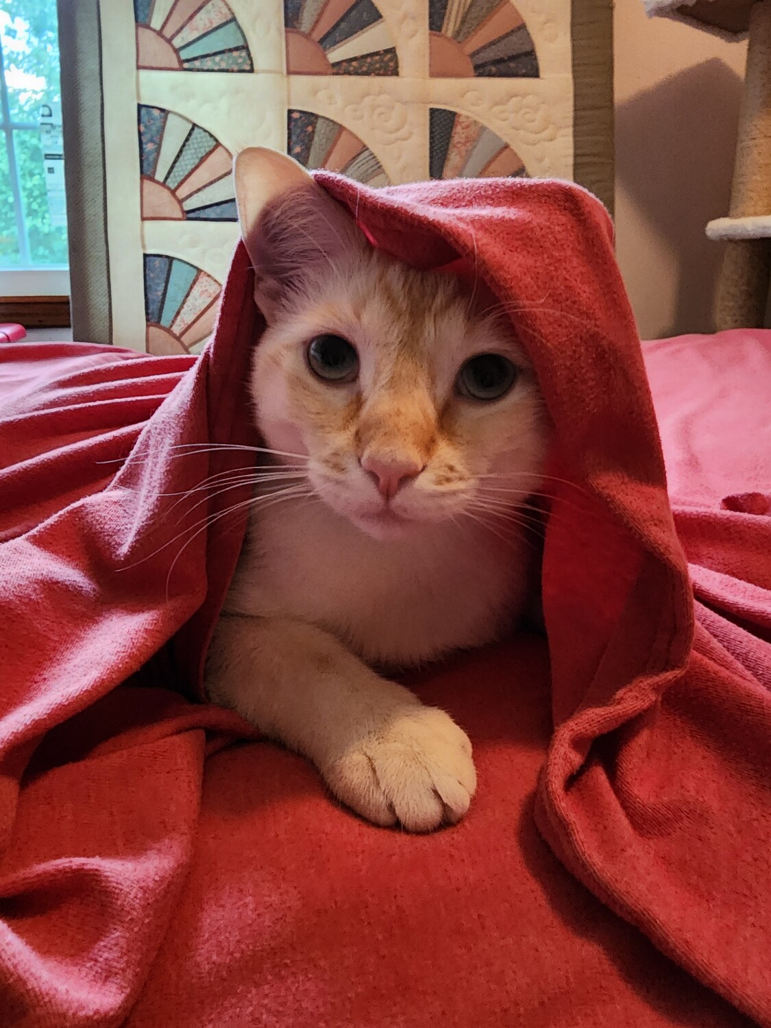 Great morning to help woth the chores!