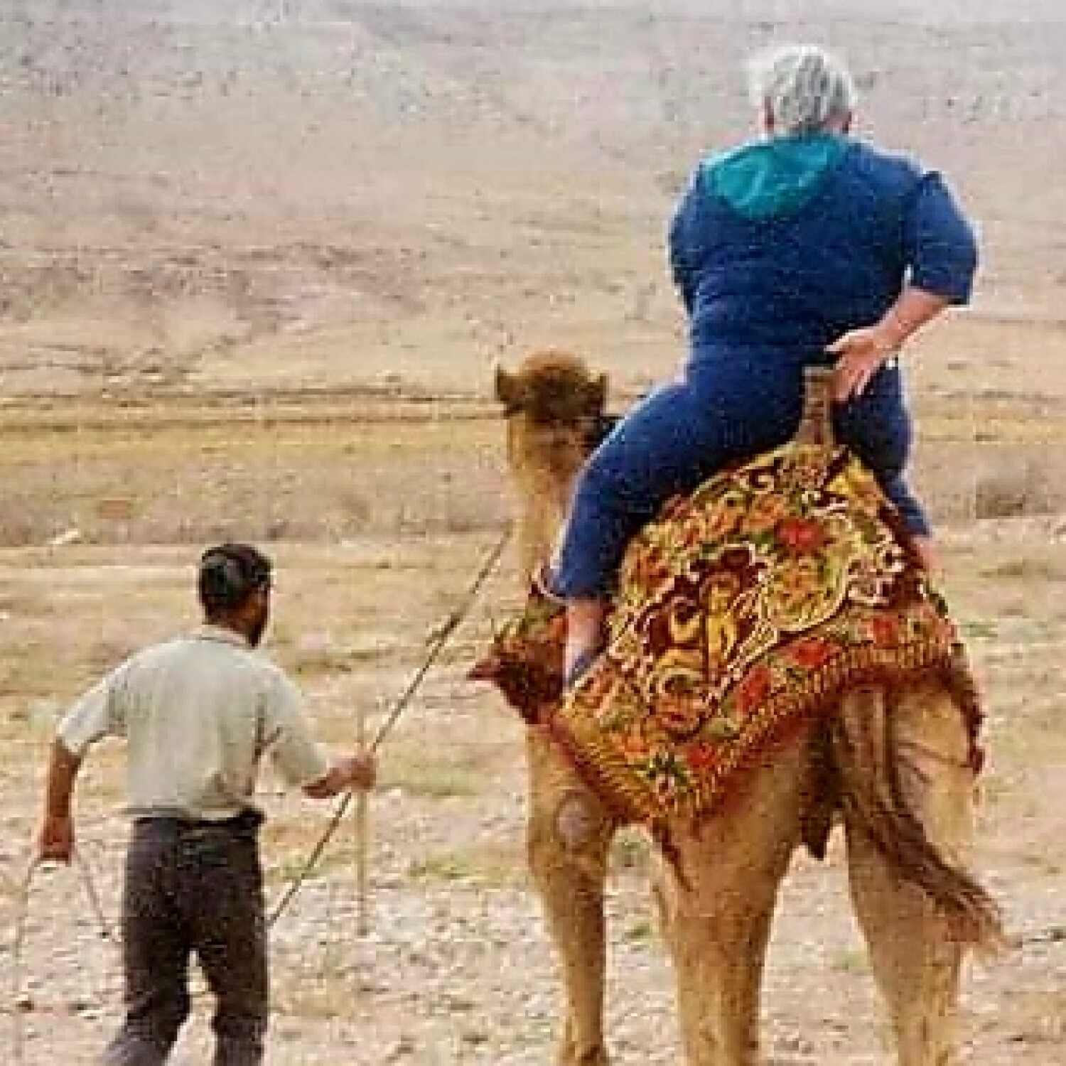 Woman riding a camel