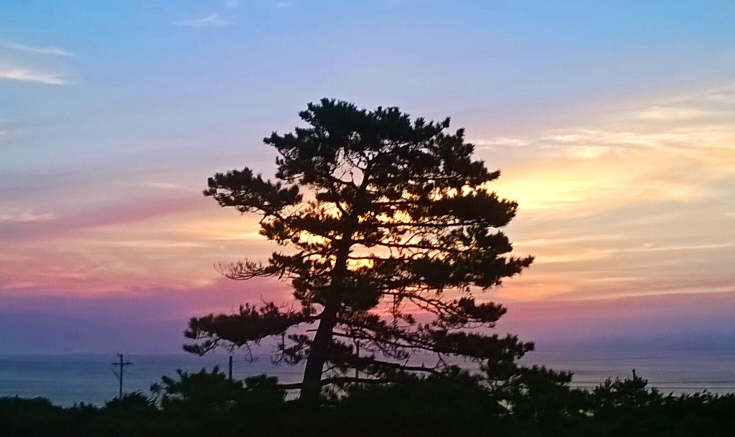 Early morning Cape Cod