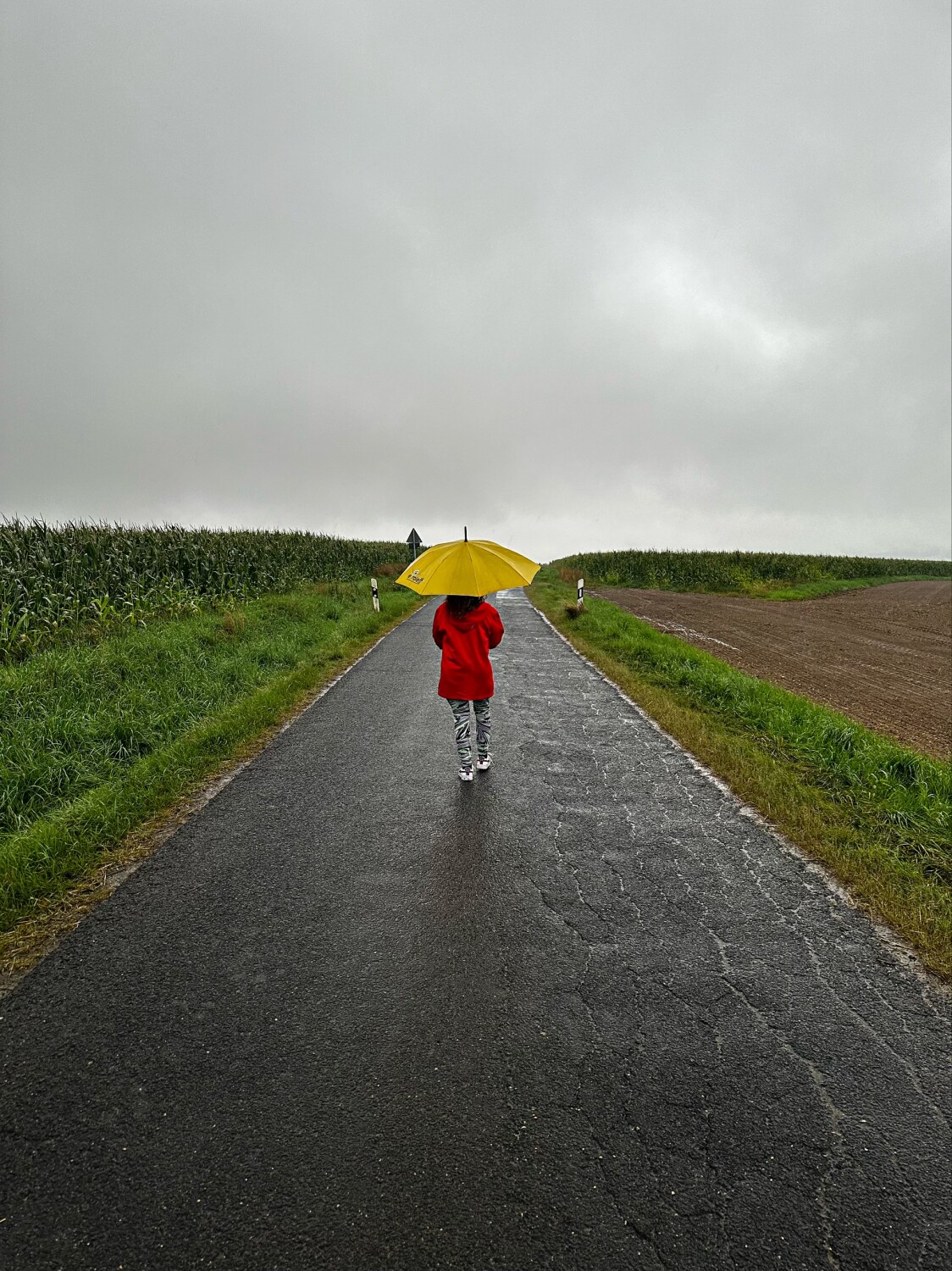Walking in the rain