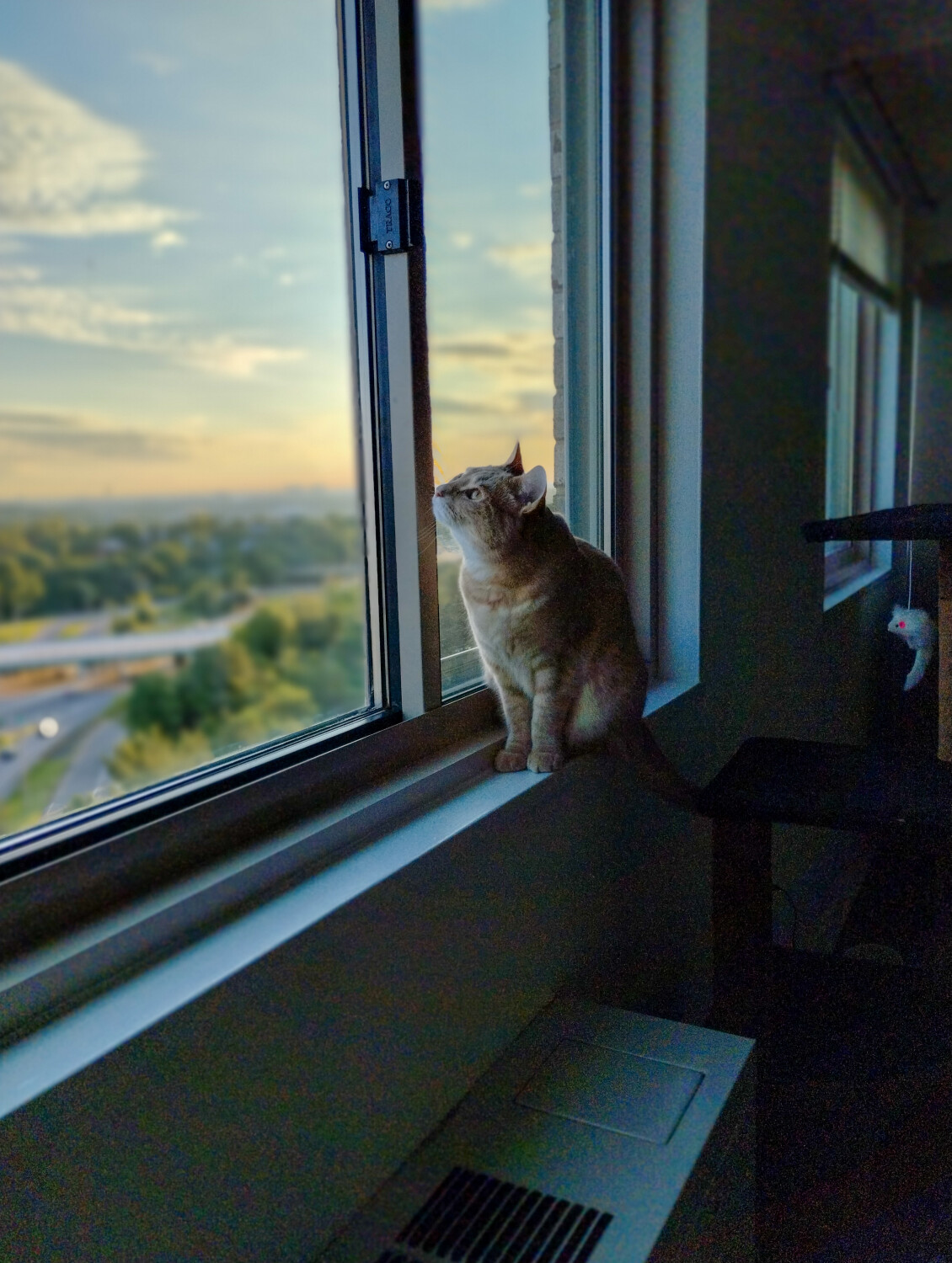 At home with Destiny