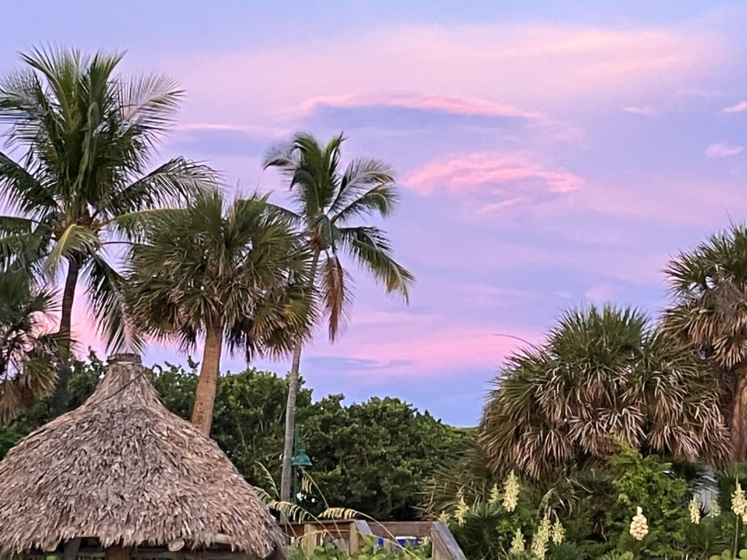 Beach in Naples Florida