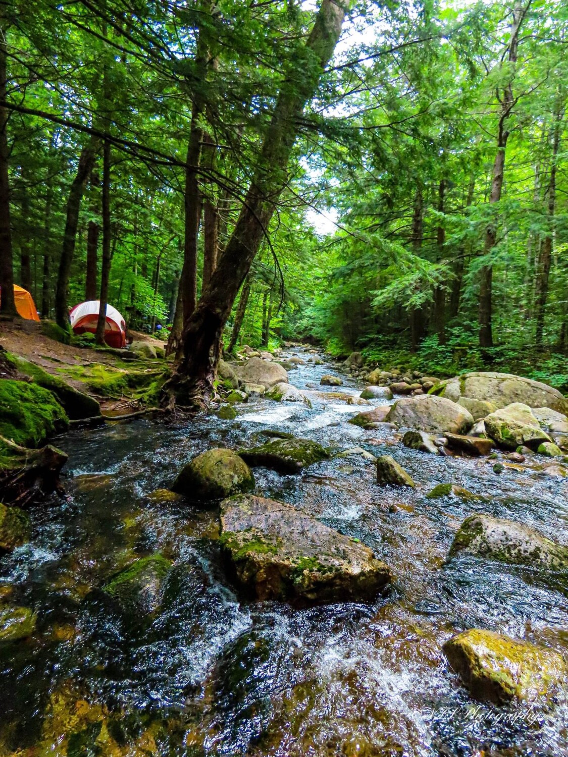 Peacefull moments in nature.