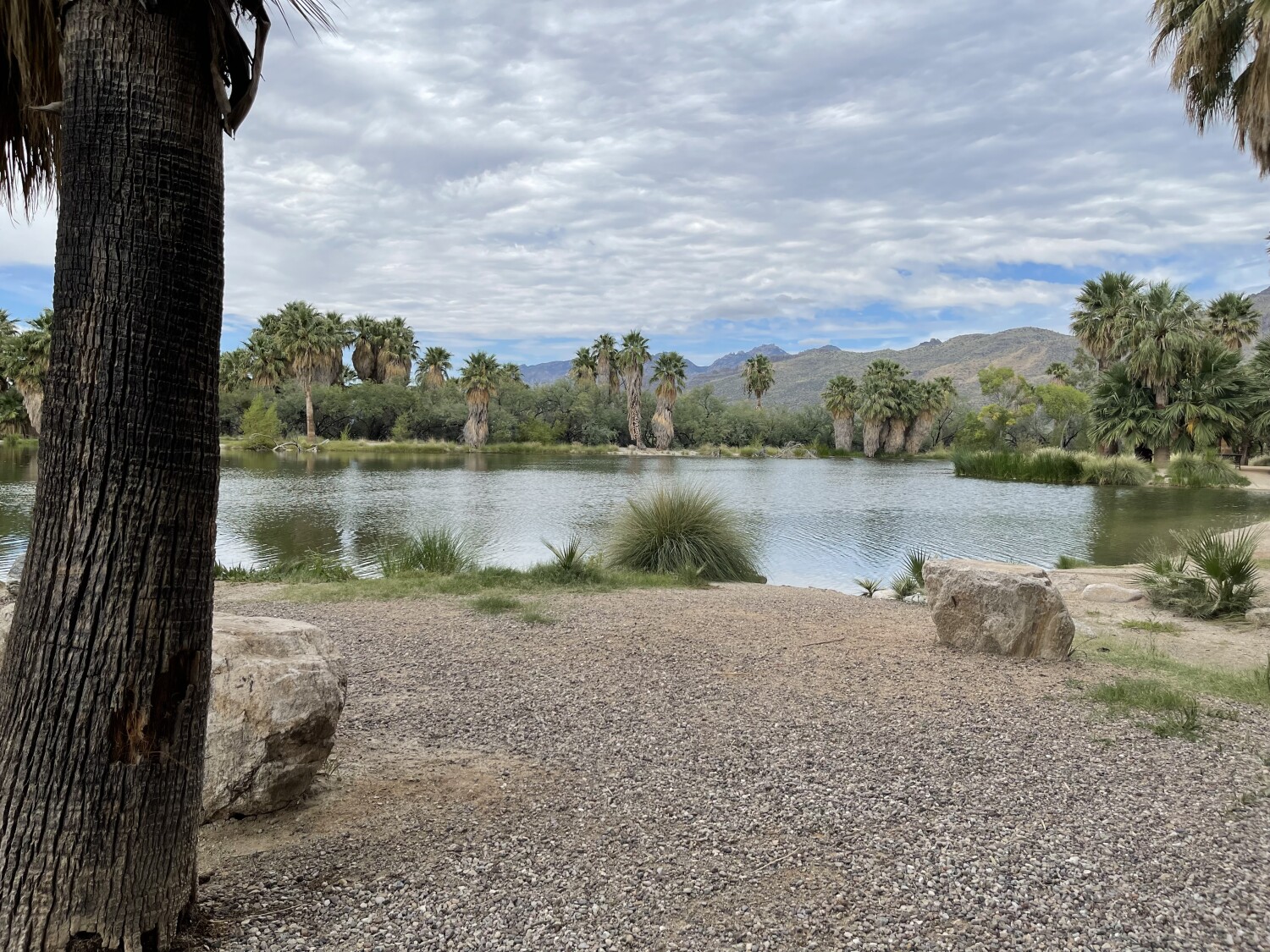 My Oasis, A Peaceful Place!