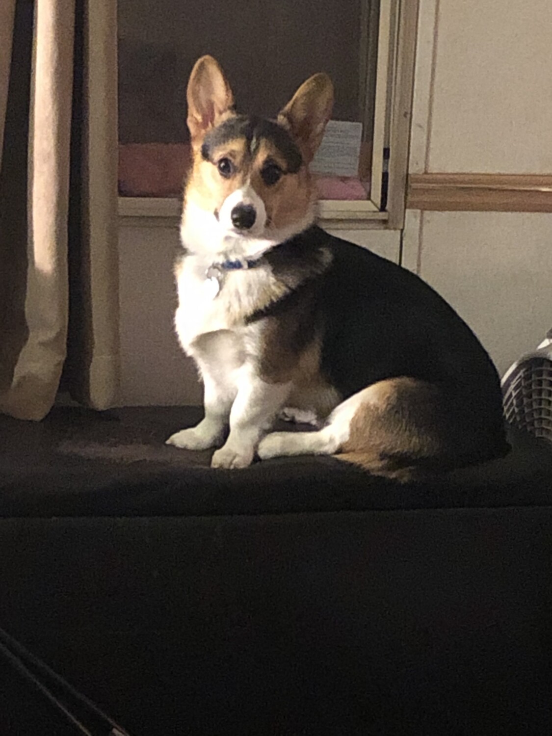 Ranger in the Spotlight