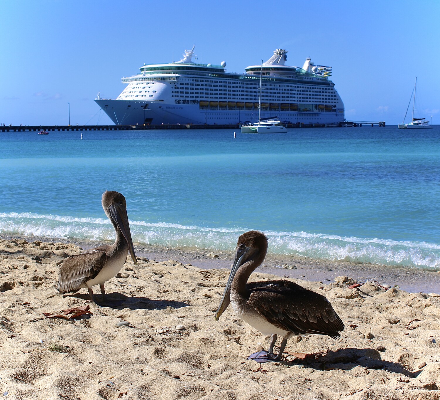 There goes the neighborhood