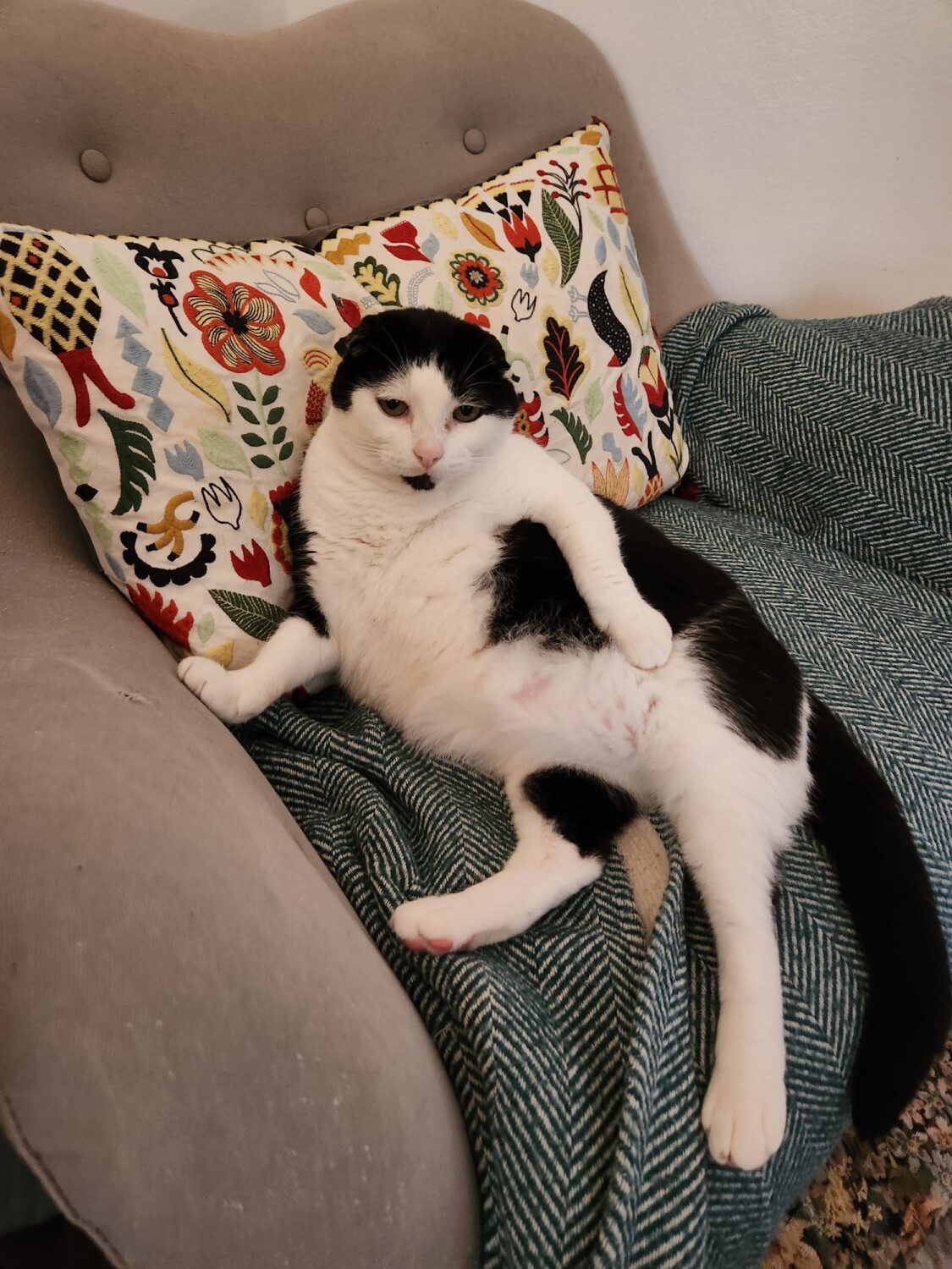 Mister Baby posing for the cover of vogue.