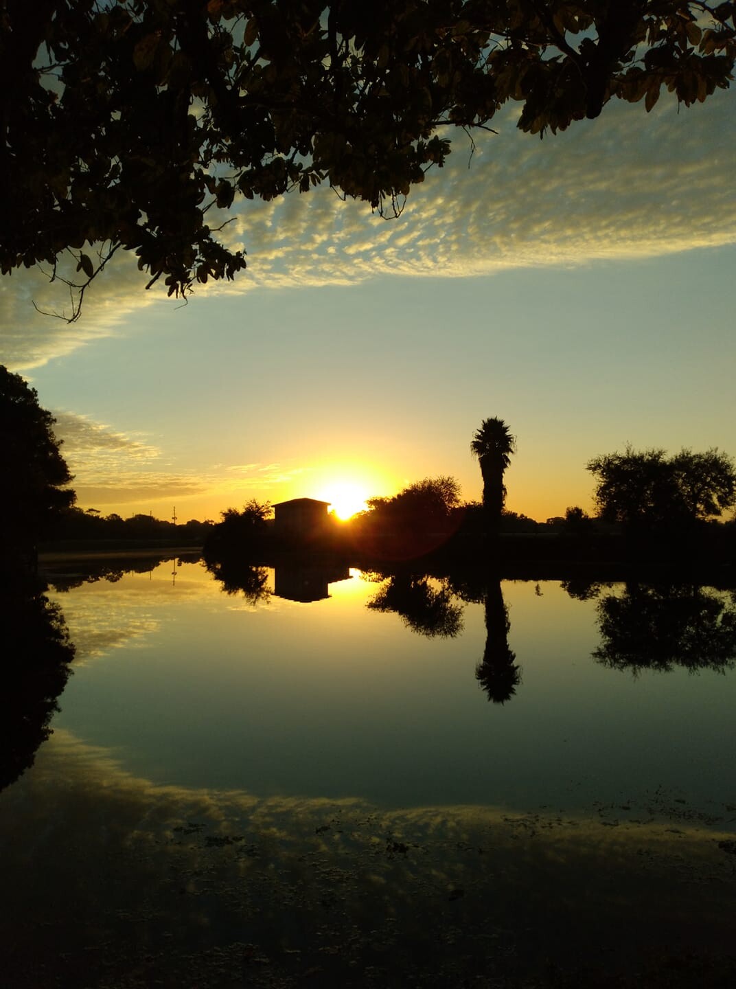 Sunrise Reflection on Lake