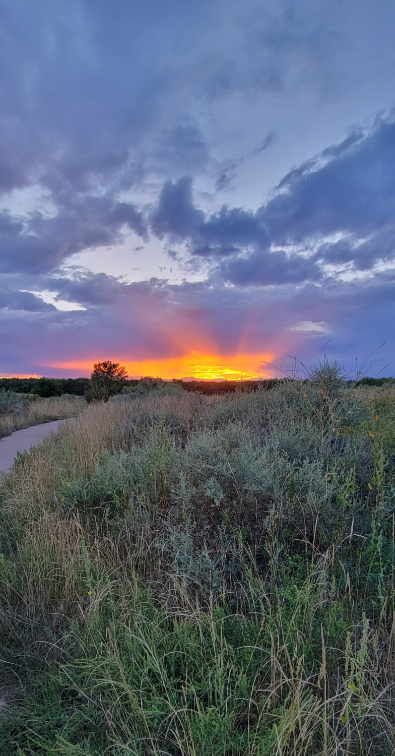 Sunset on Shop Creek Trail