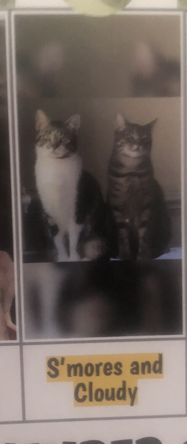 S’mores &Cloudy