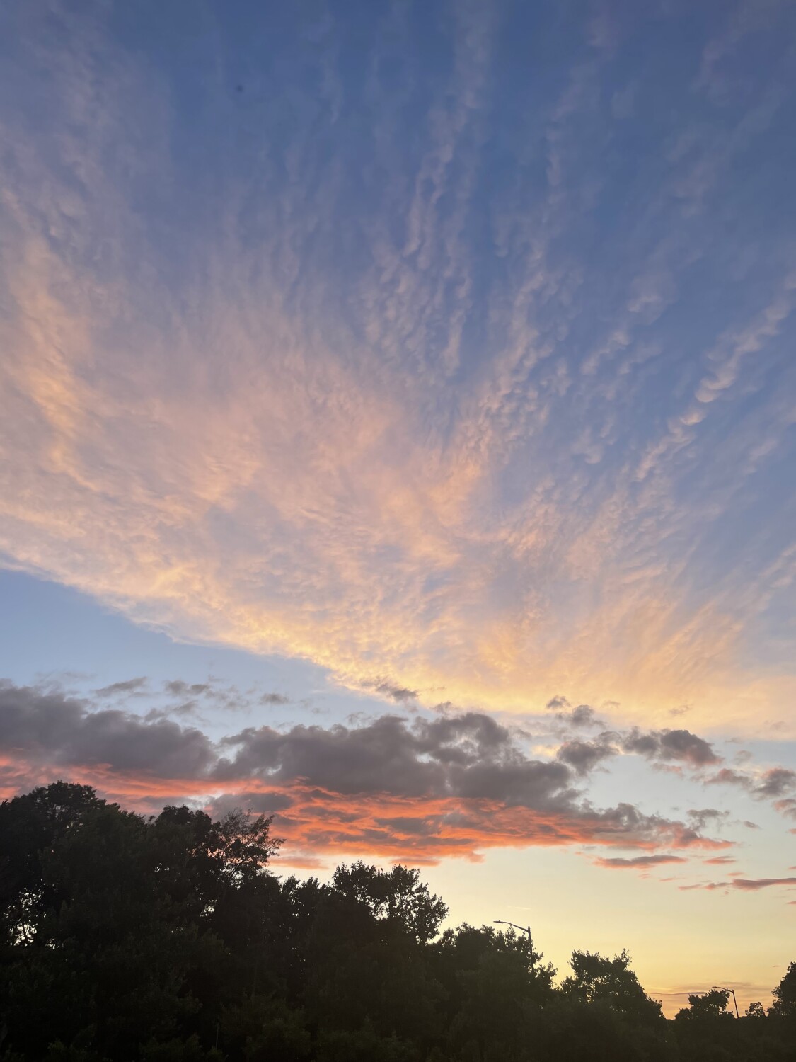 The Beauty of His work!