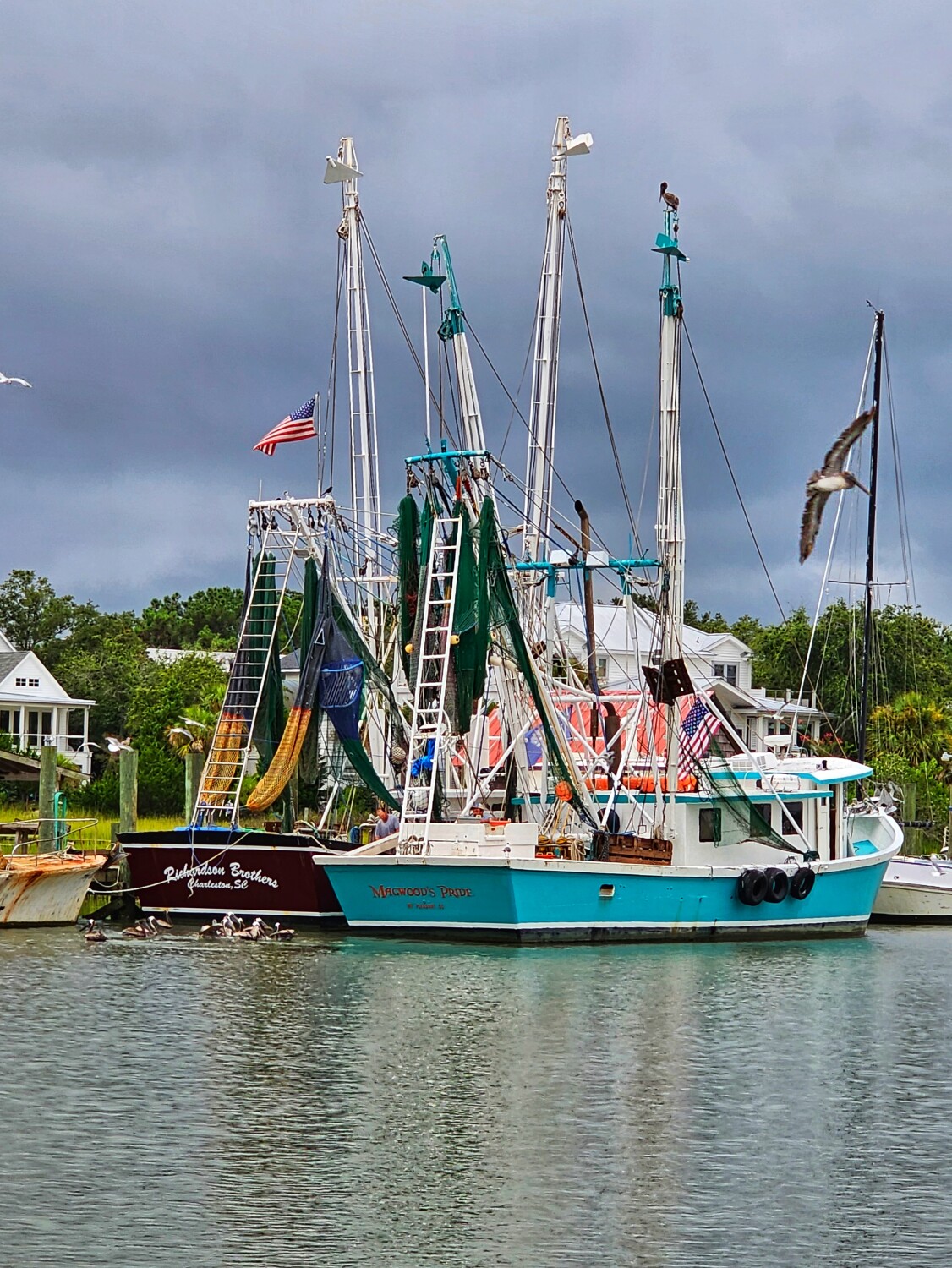 "Feeding Time On The Creek"