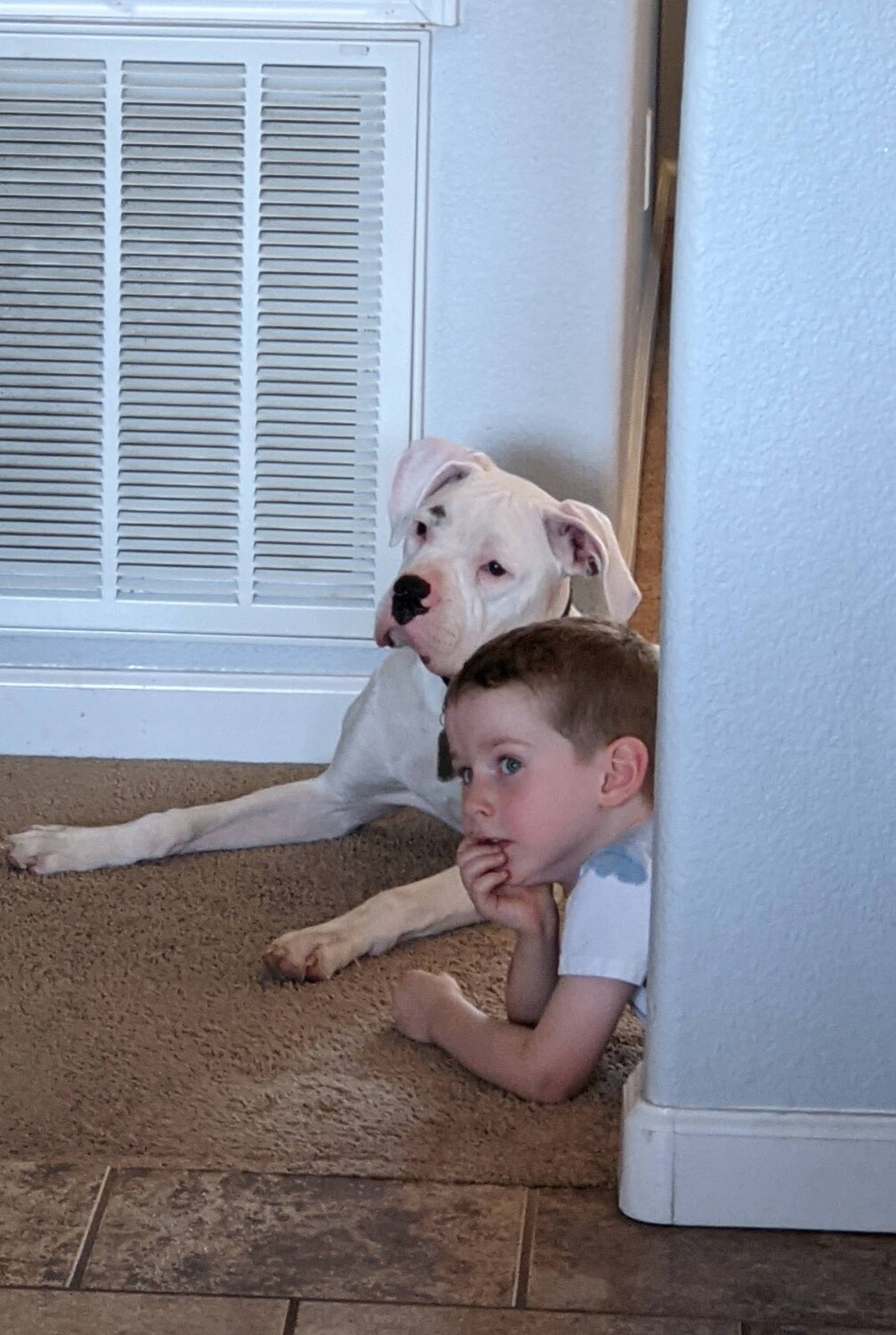 A Boy and His New Friend