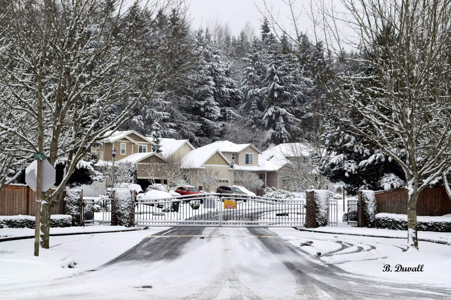 Breath Taking Moment