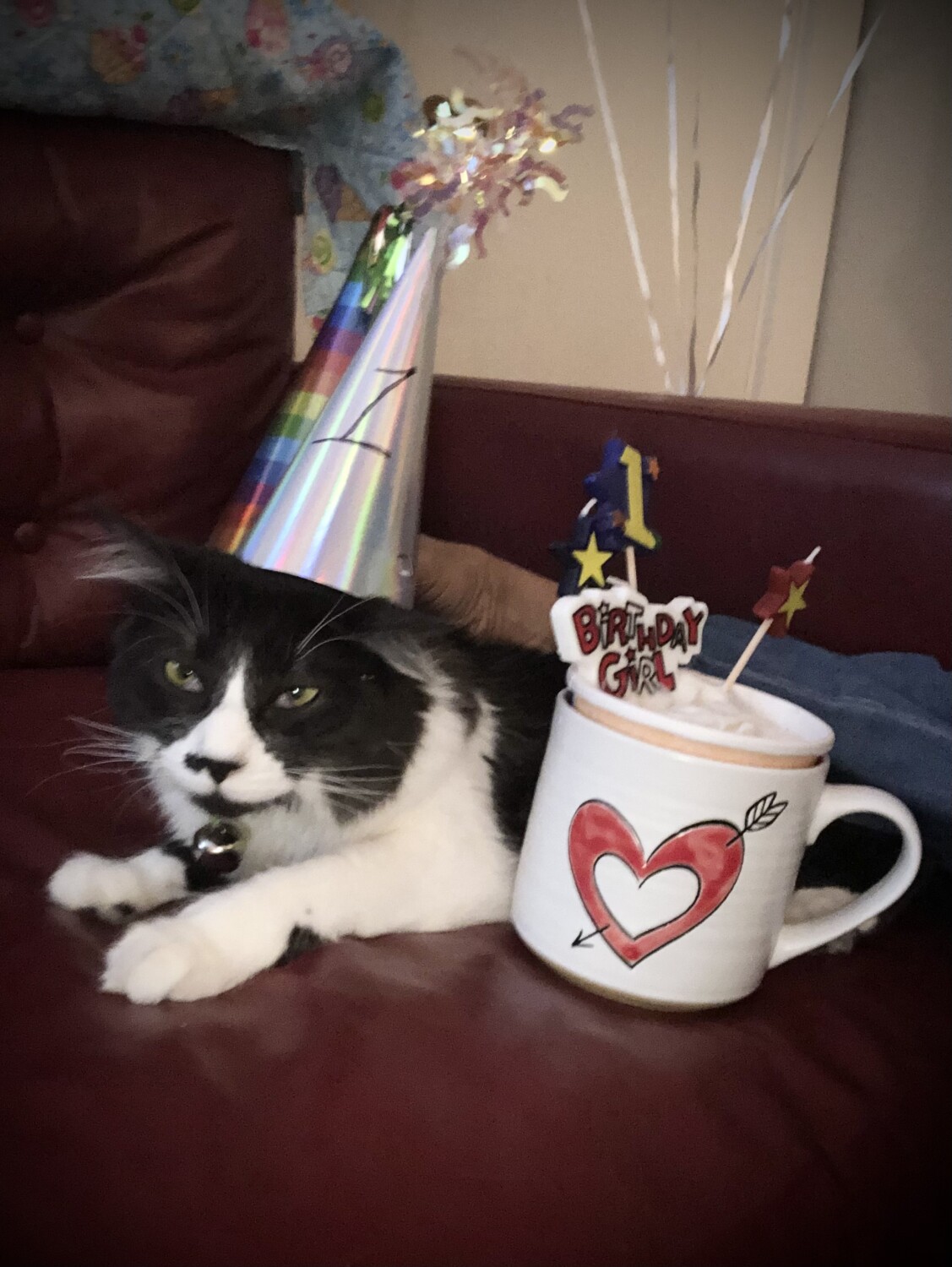 Birthday Feline