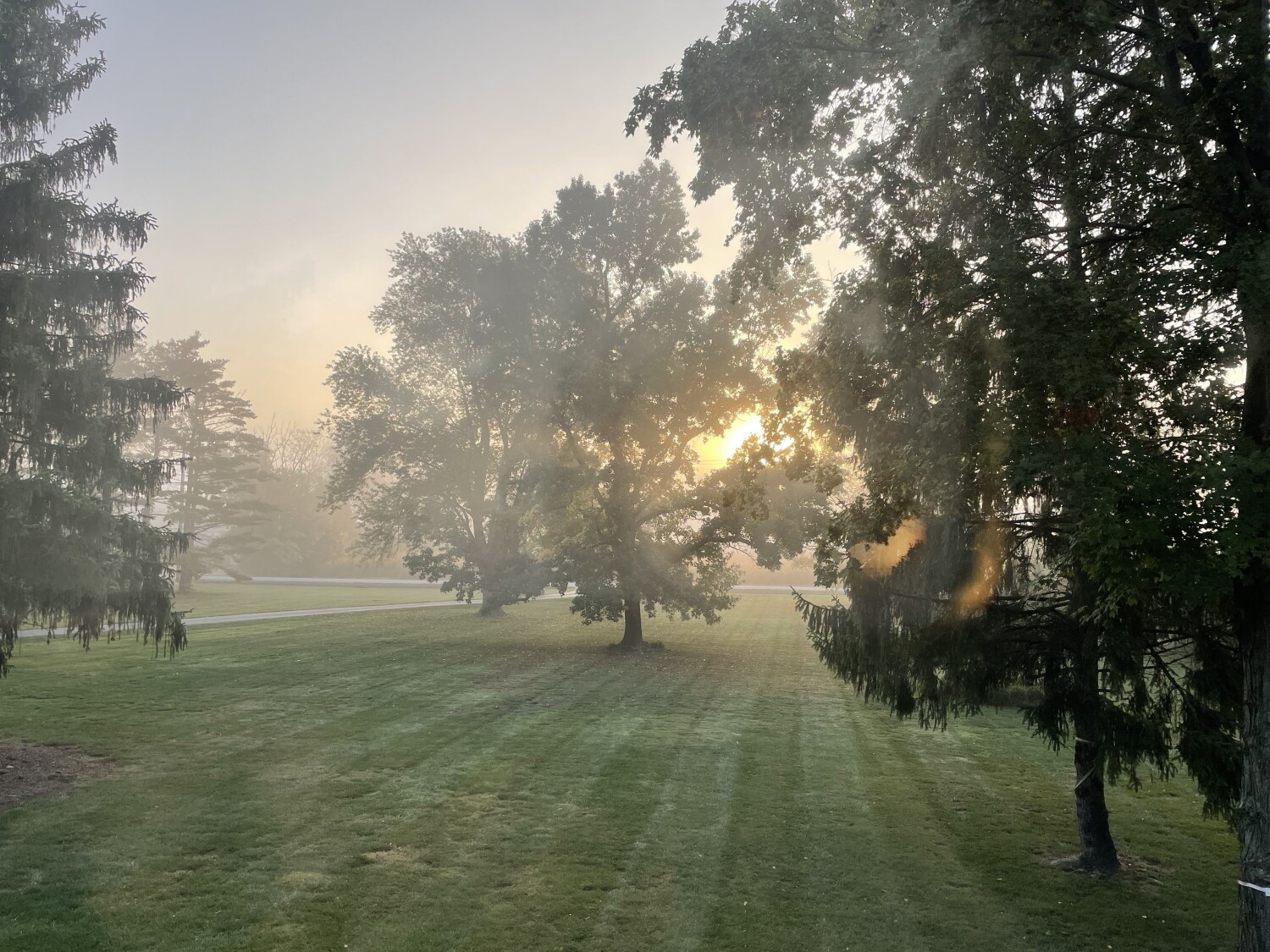 foggy morning  in Indiana