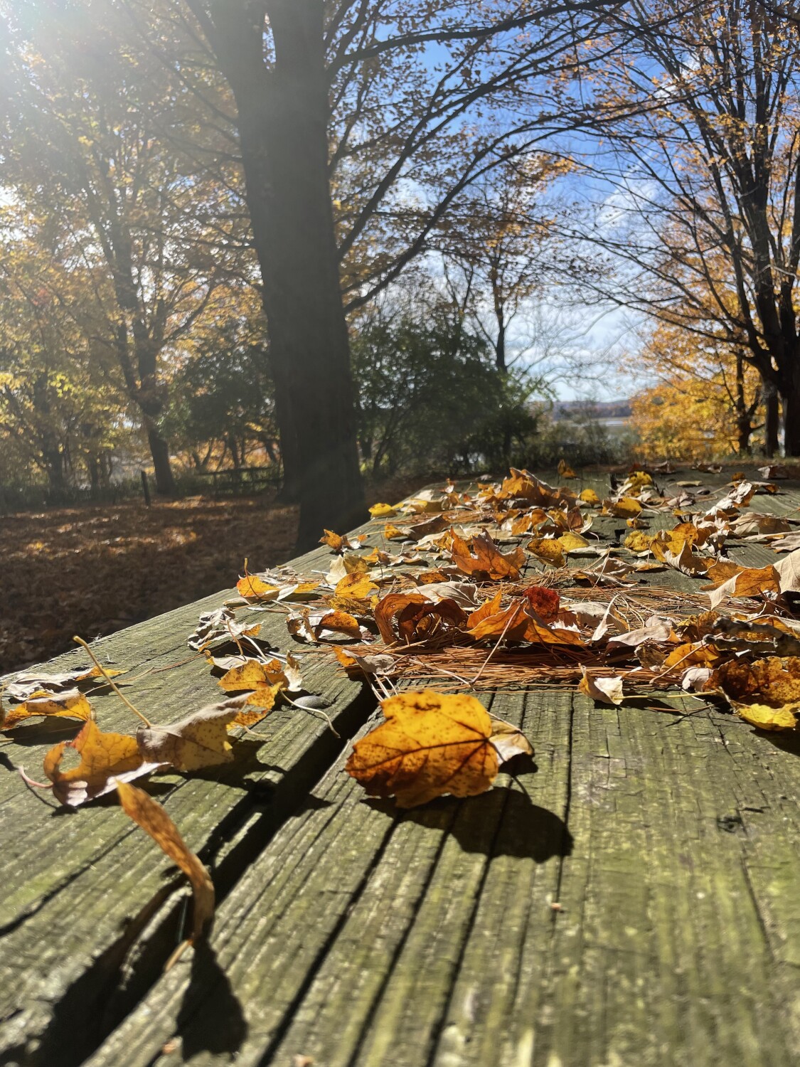 Fall