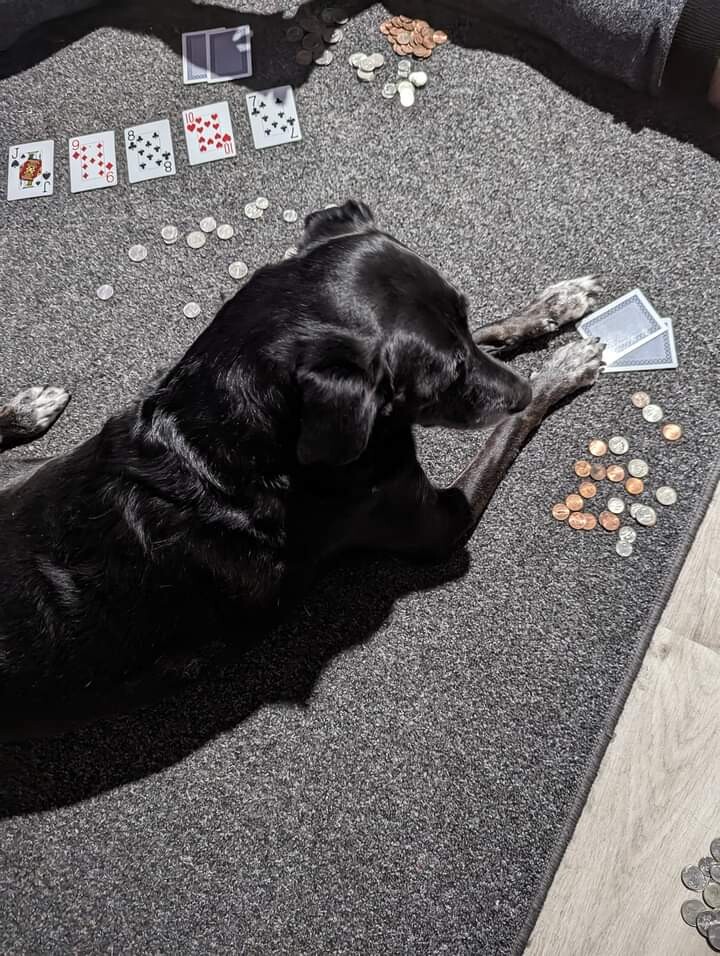 Poker playing Elisabeth .