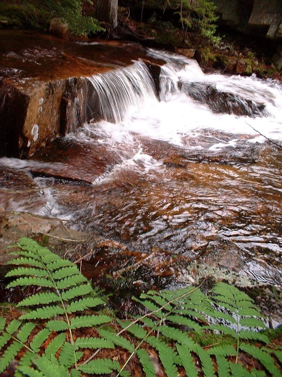 Acadia National Park