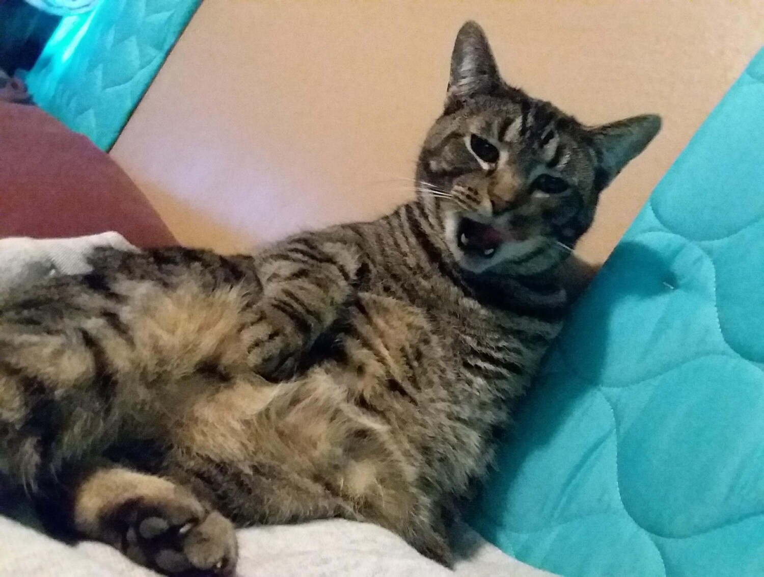 Castiel cute face.😻💙