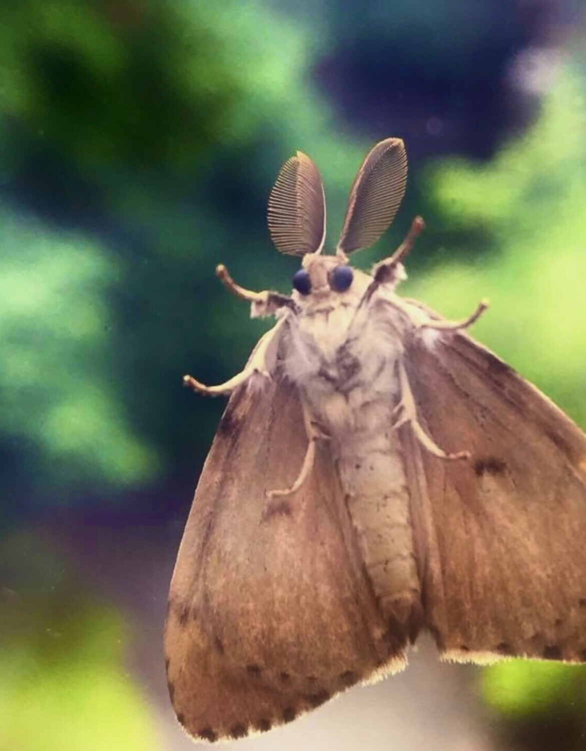 Boston Massachusetts