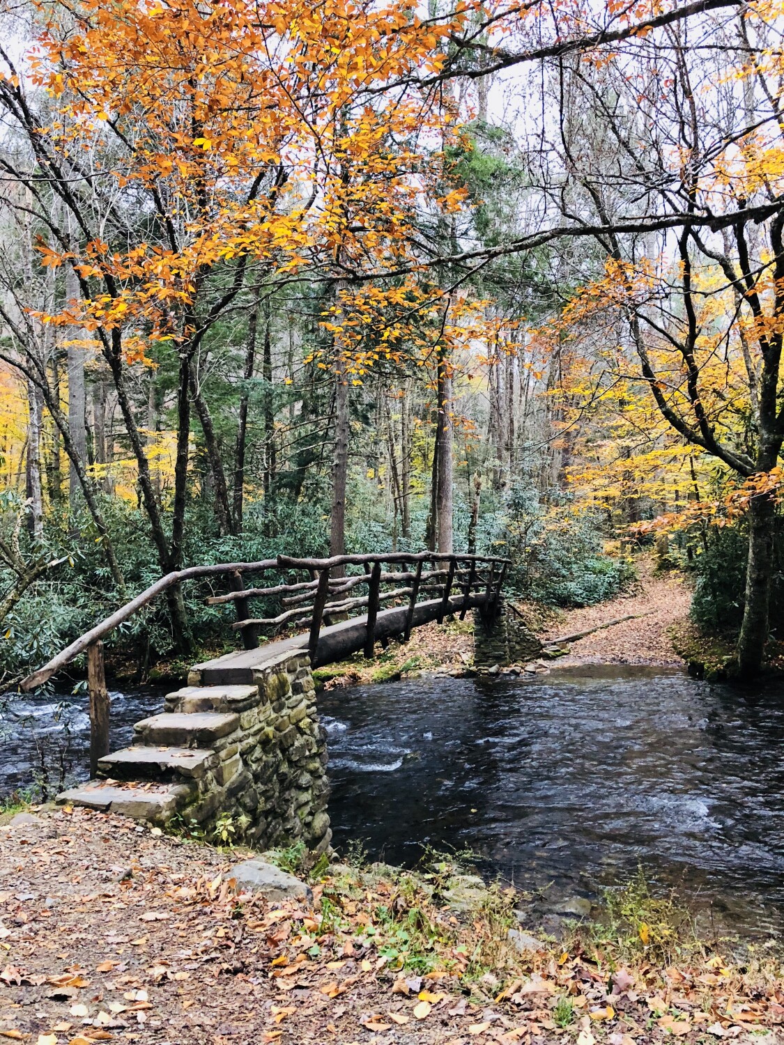 Fall in Maggie Valley