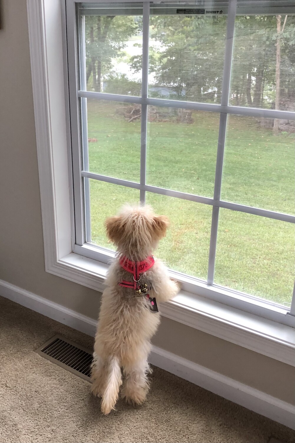 Where’s the squirrel?