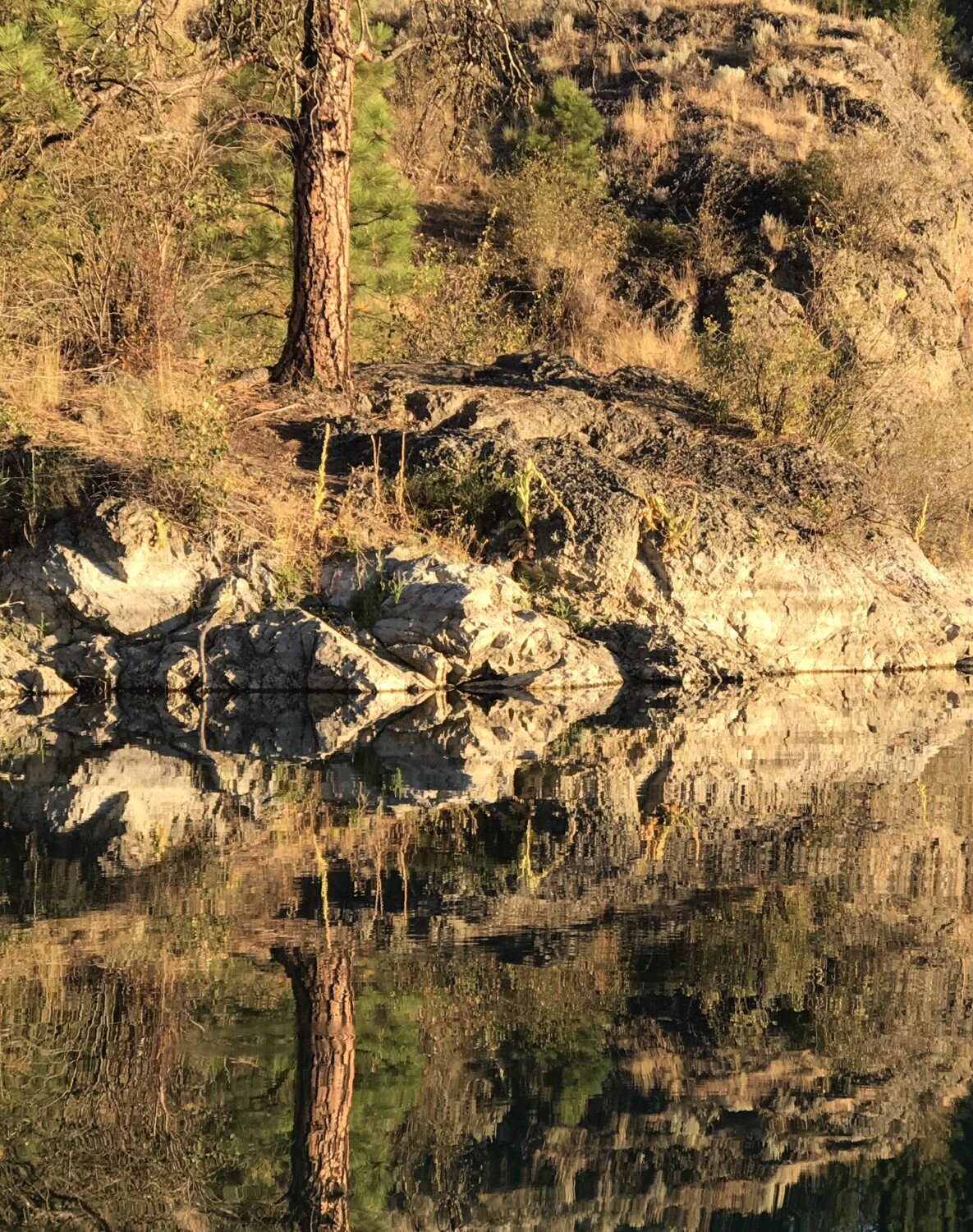 Reflection at the lake - Blue Lake. Wa