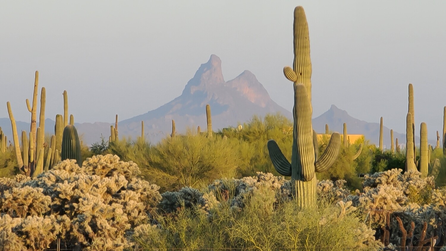 Picacho Peak at Sunrise