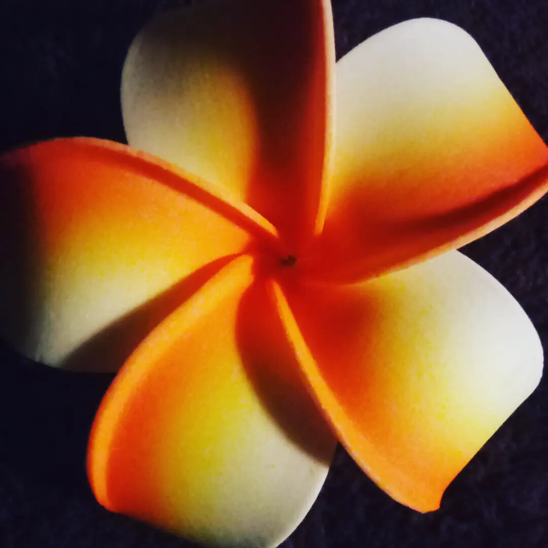 Mz. Aj's Hawaii Gift