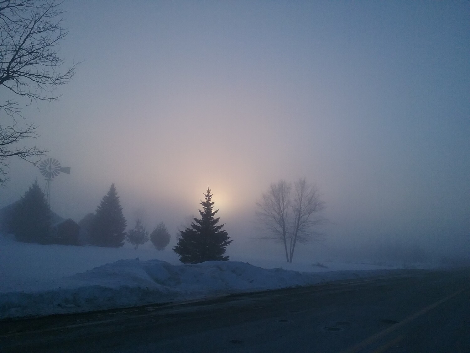 Fog at Dawn