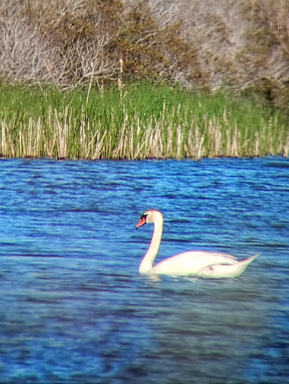 Layers of Color in Cape May
