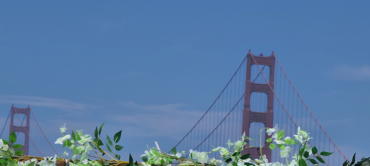 I LOVE SAN FRANCISCO