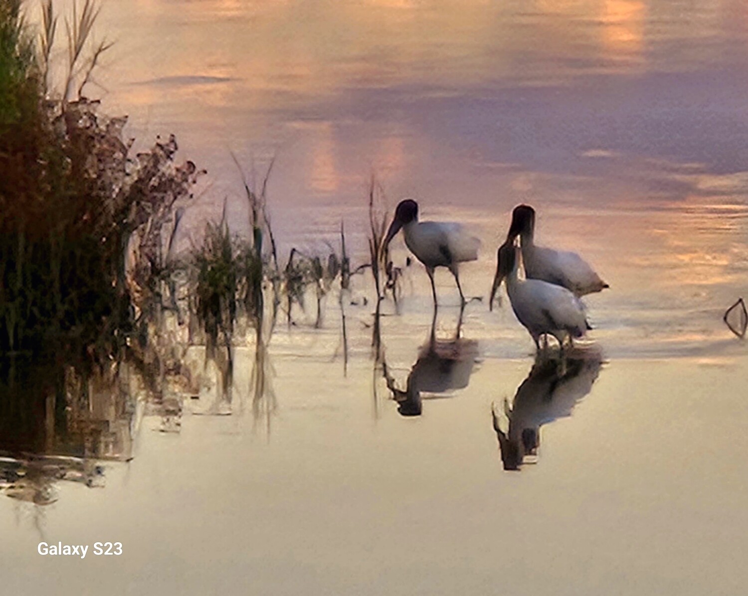 The Marsh at Sunset