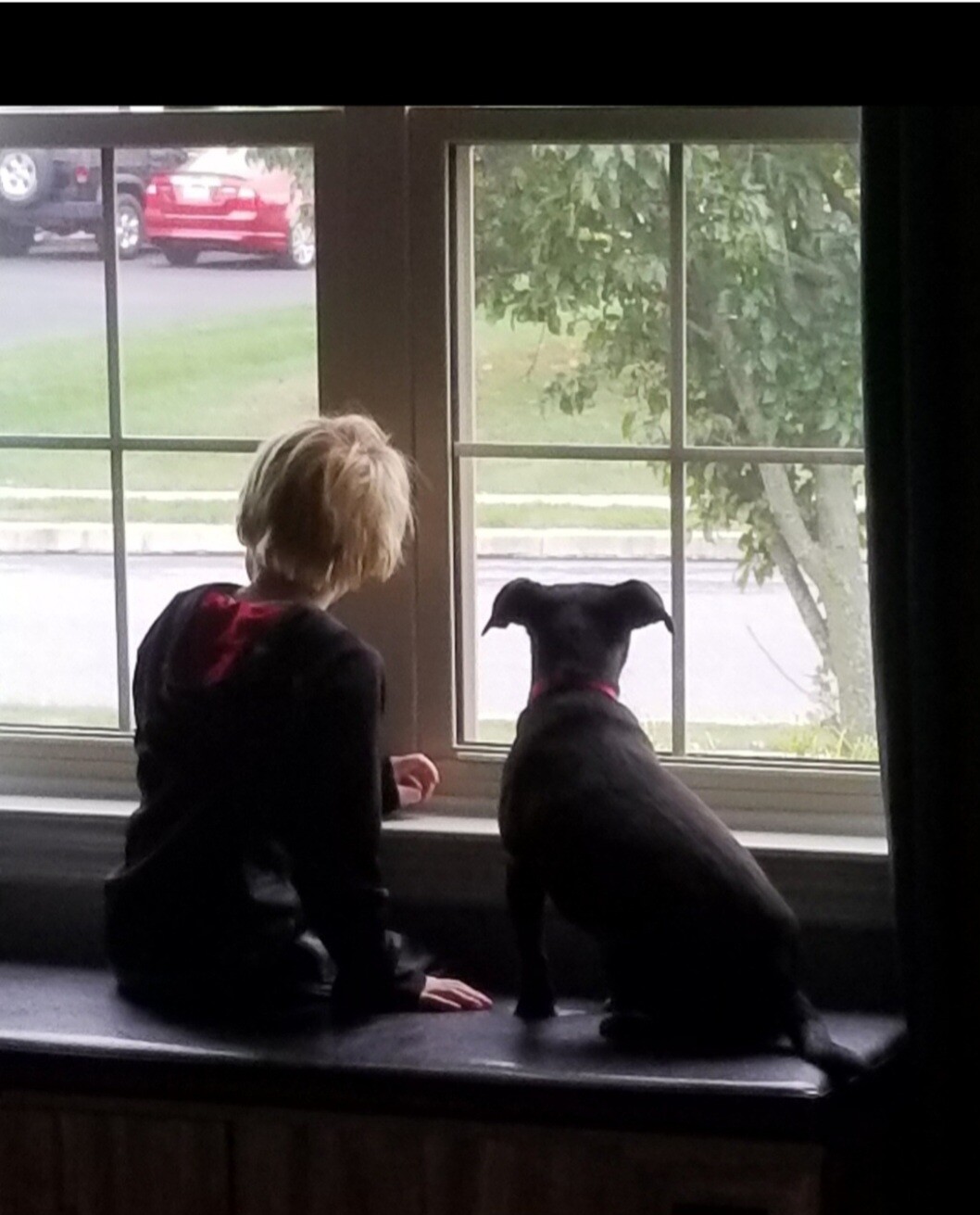 A Boy and his Best Friend