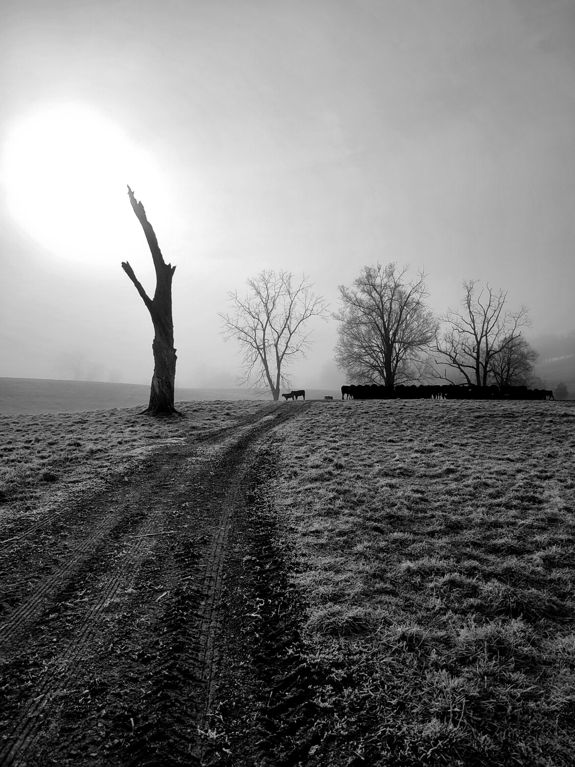 America’s Favorite Photos Competition Page Morning feed Joseph Parido