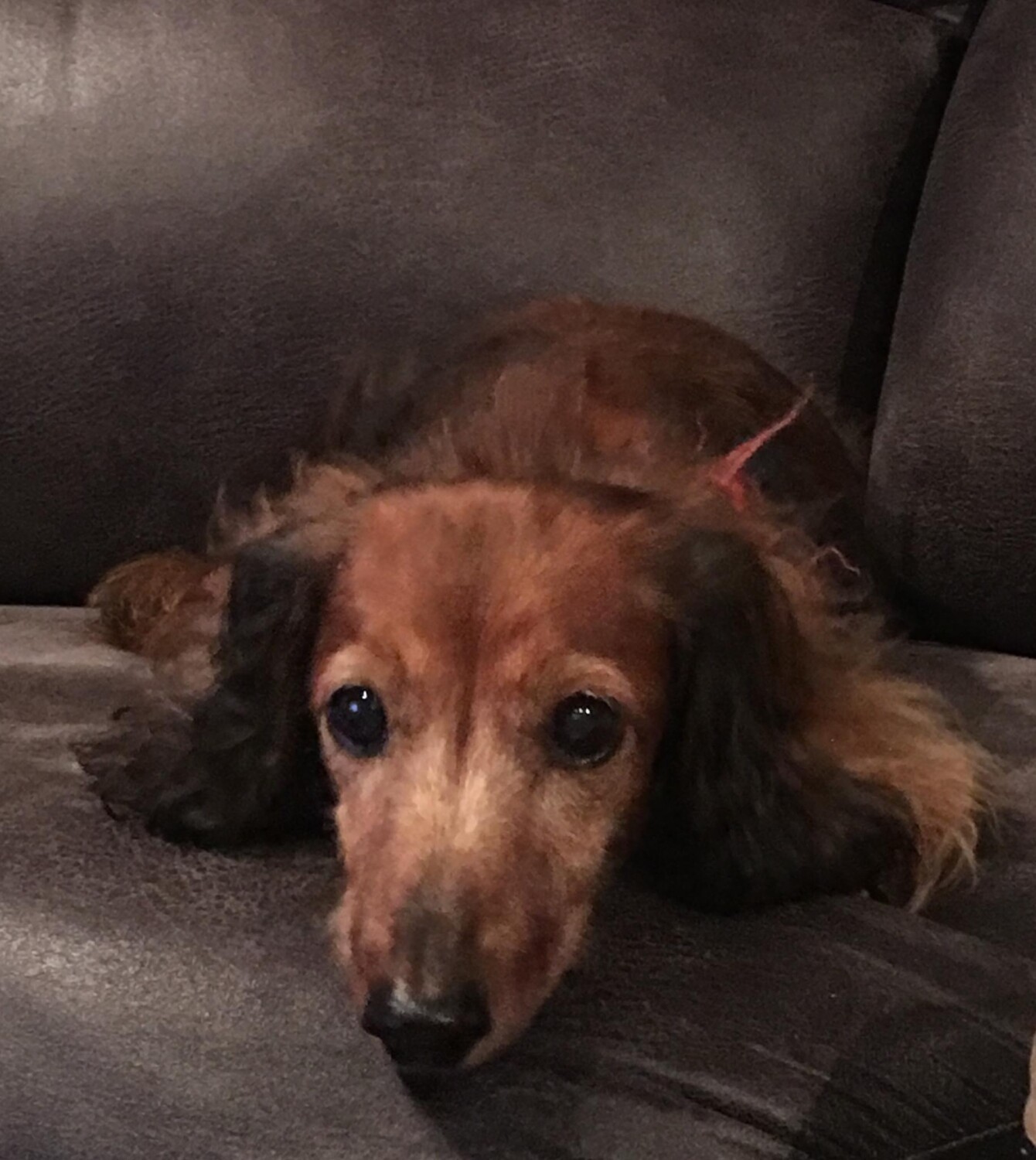 I will be watching you!