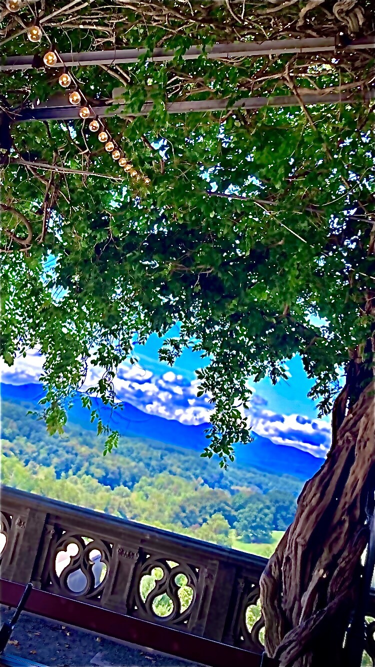 Asheville countryside