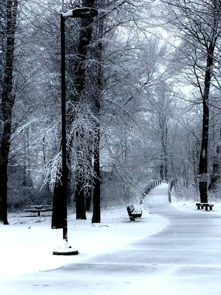 “A Winter’s Day”